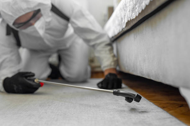 Professional Bed Bug Control technician working in Langlade County County, WI